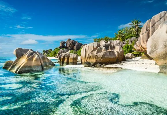 Boulders Beach image